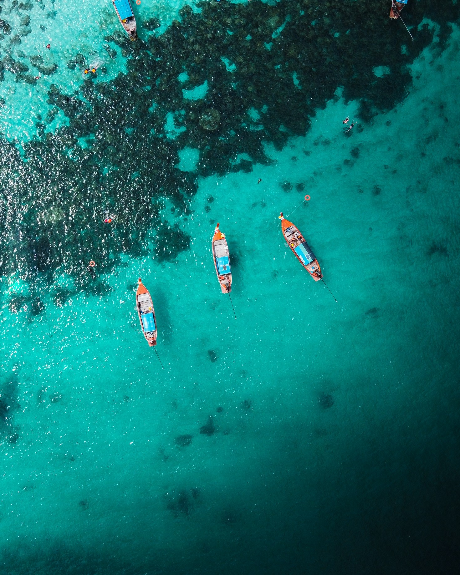 Why Verified Tour Providers Matter for Travelers