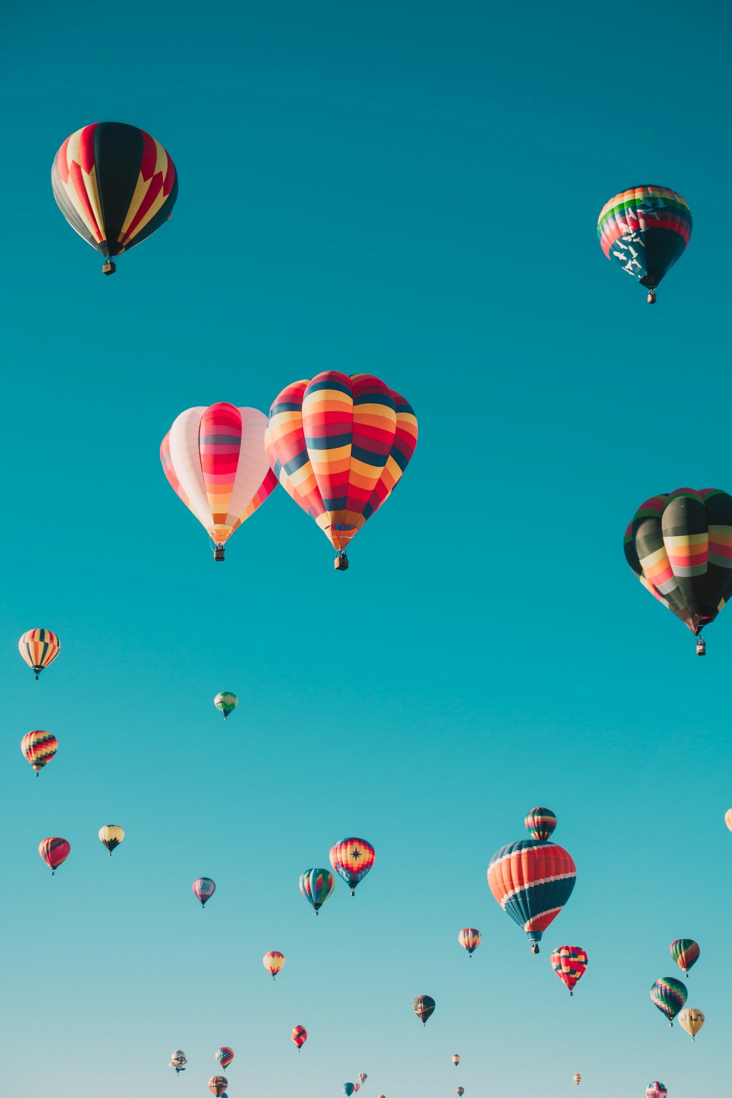 A Guide to Booking Unique Experiences Online